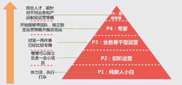 互聯(lián)網(wǎng)運(yùn)營知識(shí)掃盲 從零開始讀懂網(wǎng)站運(yùn)營
